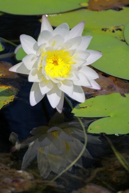 Отель Aurora Kakadu Экстерьер фото